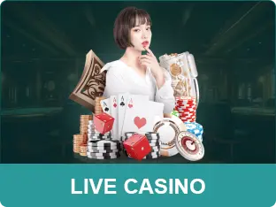 live-casino-net88
